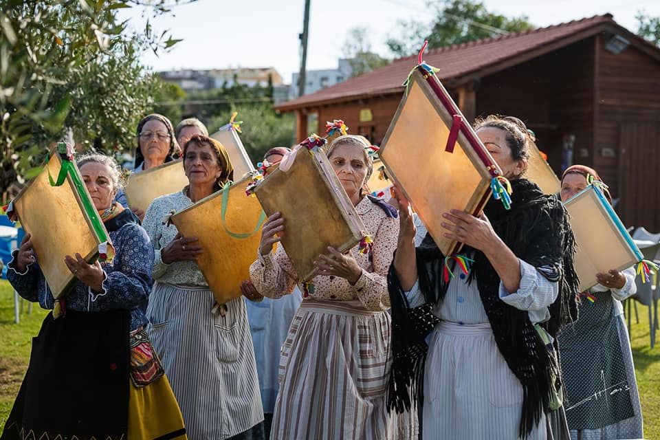 305582023_609248743965022_1239434940418424219_n