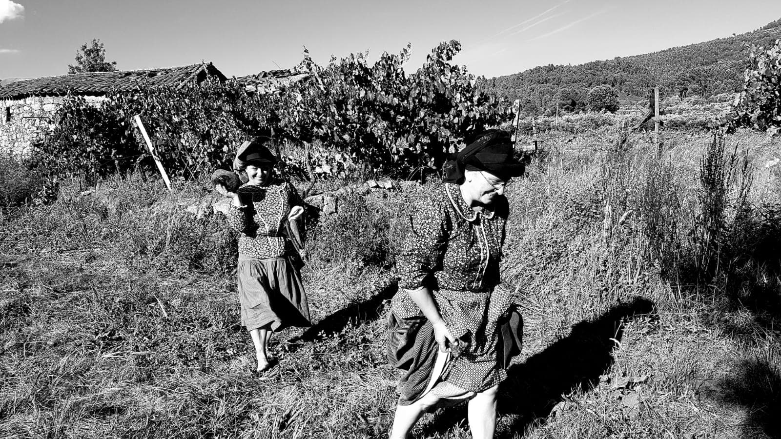 38717396_412367356171420_7697456807551172608_n