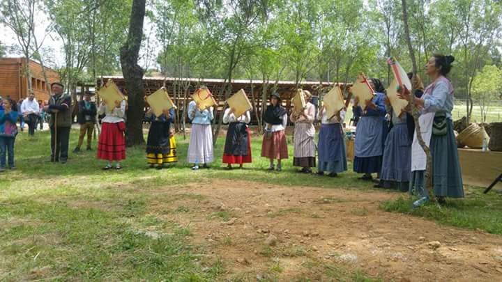 64276185_773774213364064_4545399322836992000_n